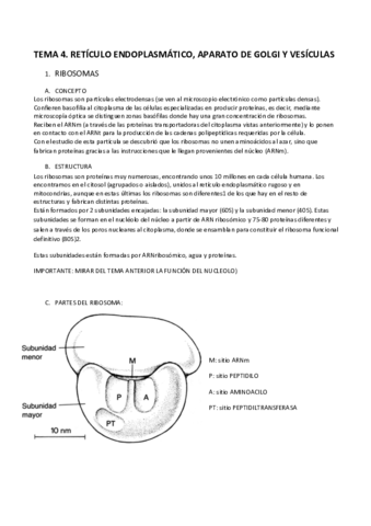 BIOLOGIA-1.pdf