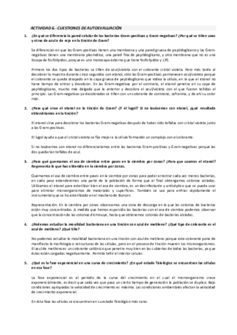 INFORME CUESTIONARIO.pdf