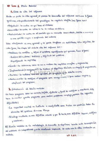 Macrorresumen-MP.pdf