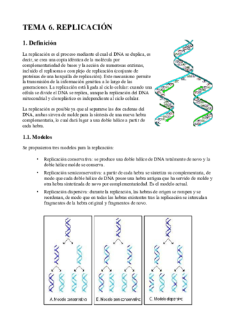 BIOQ-TEMA-6.pdf