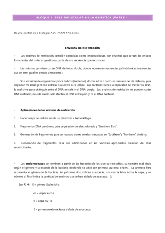 BLOQUE-1-BASE-MOLECULAR-DE-LA-GENETICA.pdf