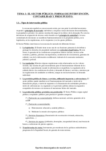 TEMA-1-SP.pdf