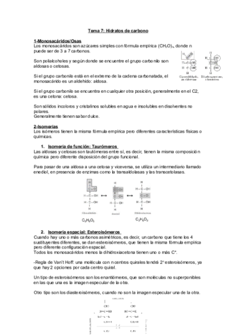tema7.pdf