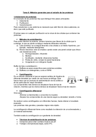tema6.pdf