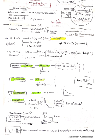 TEMA-1.pdf