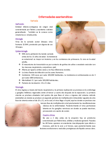 25-Enfermedades-exantematicas-resumen.pdf