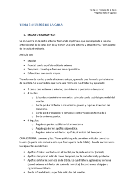 TEMA 3. HUESOS DE LA CARA.pdf