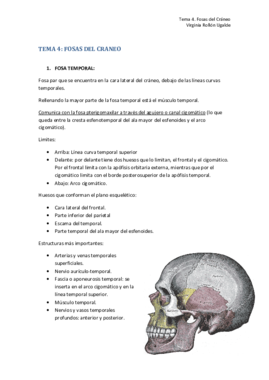 TEMA 4. FOSAS CRANEALES.pdf