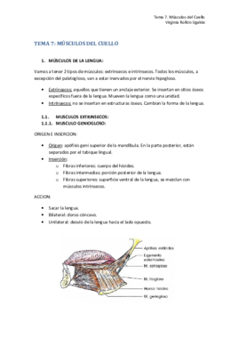 TEMA 7. MUSCULOS DEL CUELLO.pdf