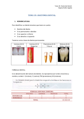 TEMA 10. ANATOMIA DENTAL.pdf