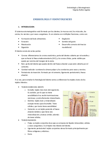 1. EMBRIOLOGIA Y ODONTOGENESIS.pdf