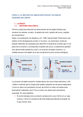 2. LA MUCOSA EN AREAS DENTADAS Y PERIIMPLANTARIAS.pdf