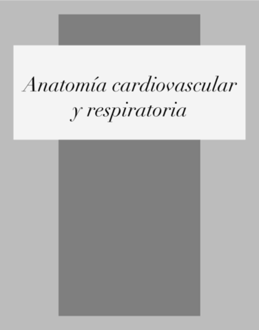 Practica-2-cardio-y-respiratorio.pdf