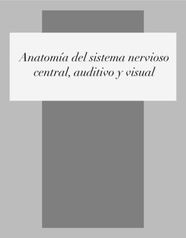 Practica-5-nervioso.pdf
