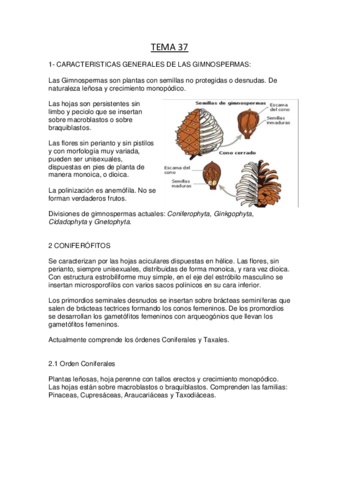 botanica.pdf