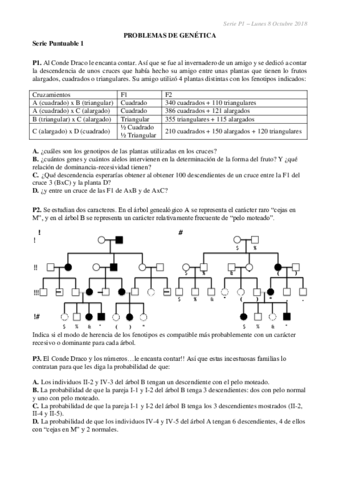 Serie-P1-2018-19-RESUELTA.pdf