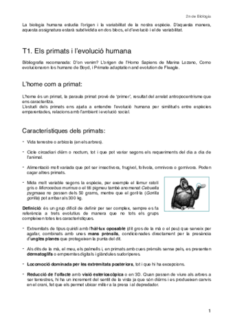 T1-Els-primats-i-levolucio-humana.pdf