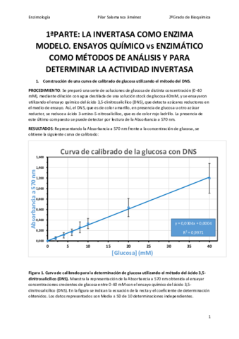 MemoriaPilarSalamancaJimenez.pdf