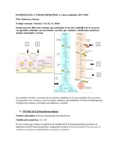 PilarSalamancaJimenezTareaSemanal7.pdf