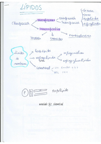 tema-LOS-LIPIDOS.pdf
