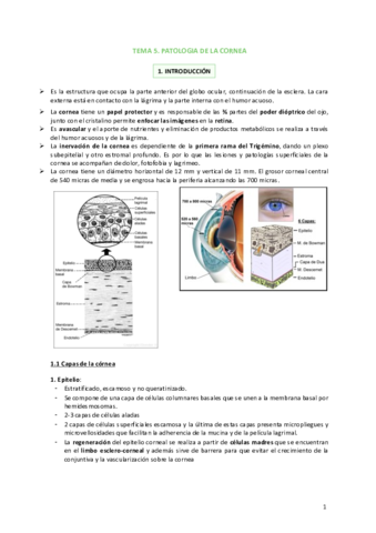 Tema-5-Patologia-de-la-cornea.pdf