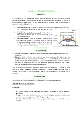 Tema-6-Patologia-de-la-conjuntiva.pdf