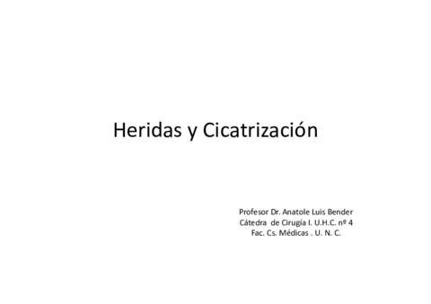 Heridas-y-Cicatrizacion.pdf