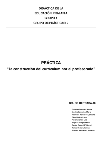 DID - Trabajo - La construcción del curriculum.pdf