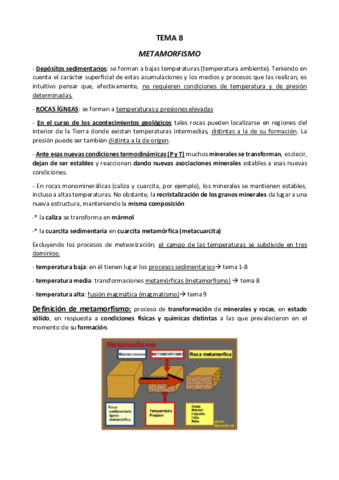Resumen-TEMA-8.pdf