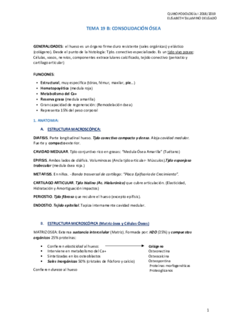 T19-B-CONSOLIDACION-OSEA.pdf