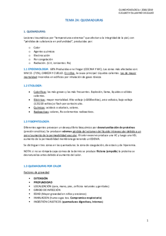 T24-QUEMADURAS.pdf
