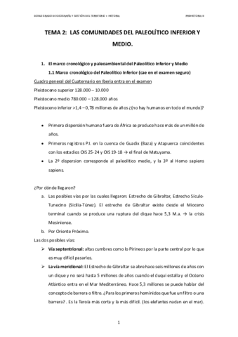 TEMA-2-LAS-COMUNIDADES-DEL-PALEOLITICO-INFERIOR-Y-MEDIO.pdf