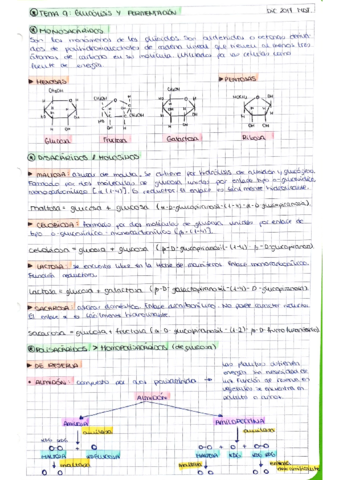 Tema-9.pdf