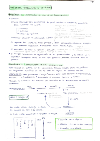 Resumen-de-las-practicas.pdf