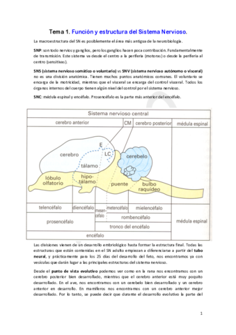 Neurobiologia-True0.pdf