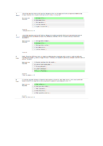 Autoevaluacion-tema-1.pdf