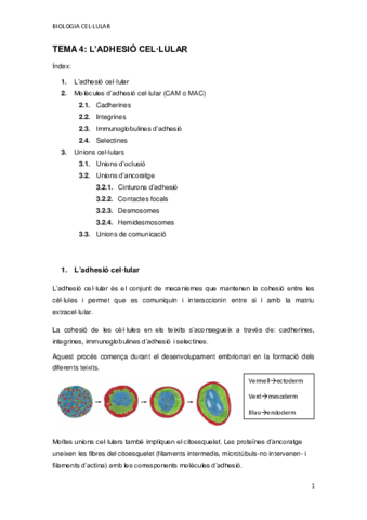 TEMA-4.pdf