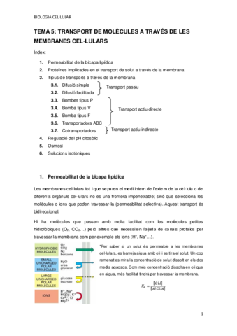 TEMA-5.pdf