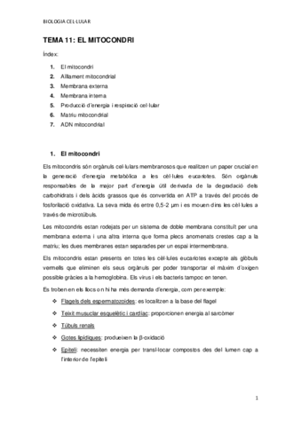 TEMA-11.pdf
