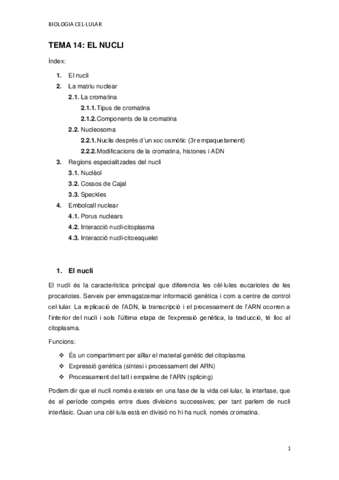 TEMA-14.pdf