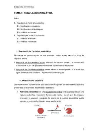 TEMA-4.pdf