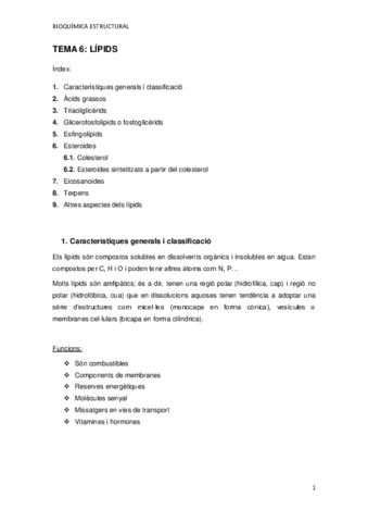 TEMA-6.pdf