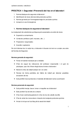 PRACTICA-1.pdf