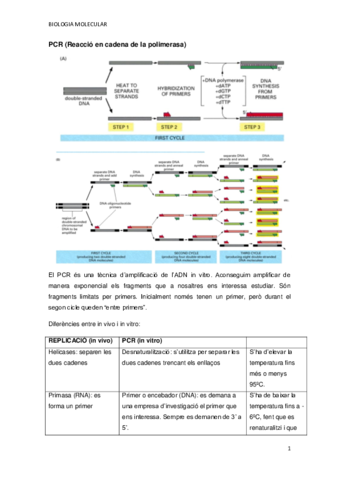 Practica-PCR.pdf