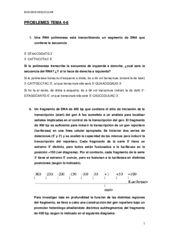 PROBLEMES-TEMA-4-6.pdf