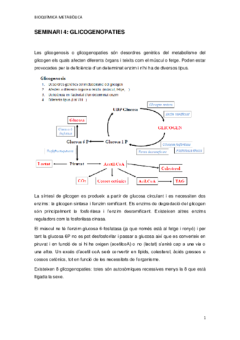 SEMINARI-4.pdf