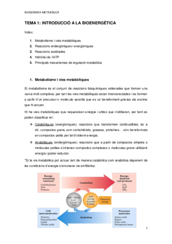 TEMA-1.pdf