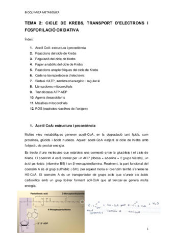 TEMA-2.pdf