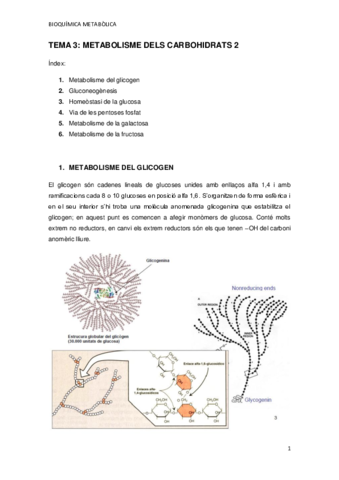 TEMA-3.pdf