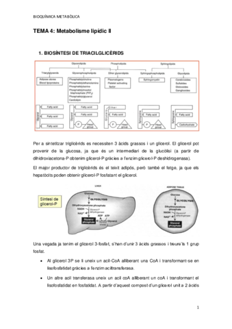 TEMA-4.pdf